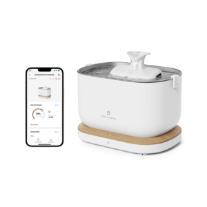 Dockstream Smart Fountain
